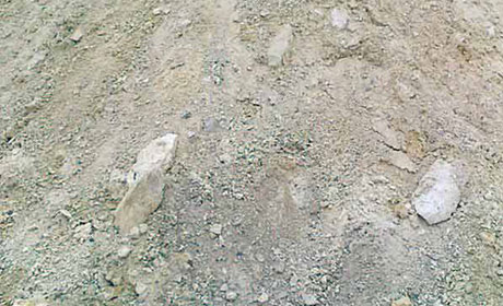 膨润土